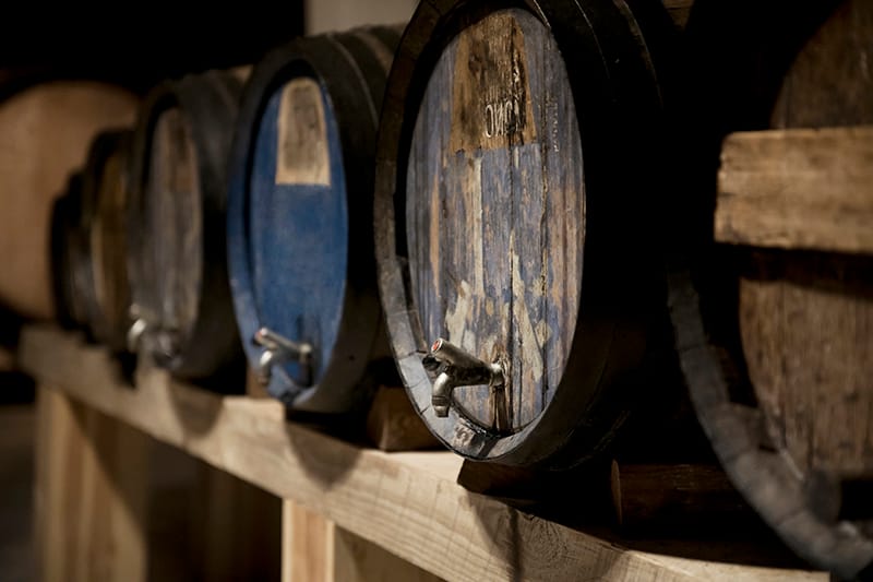 THE VINEYARD - Vino Kolenc
